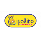Cipollino