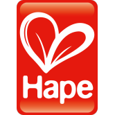 Hape Toys